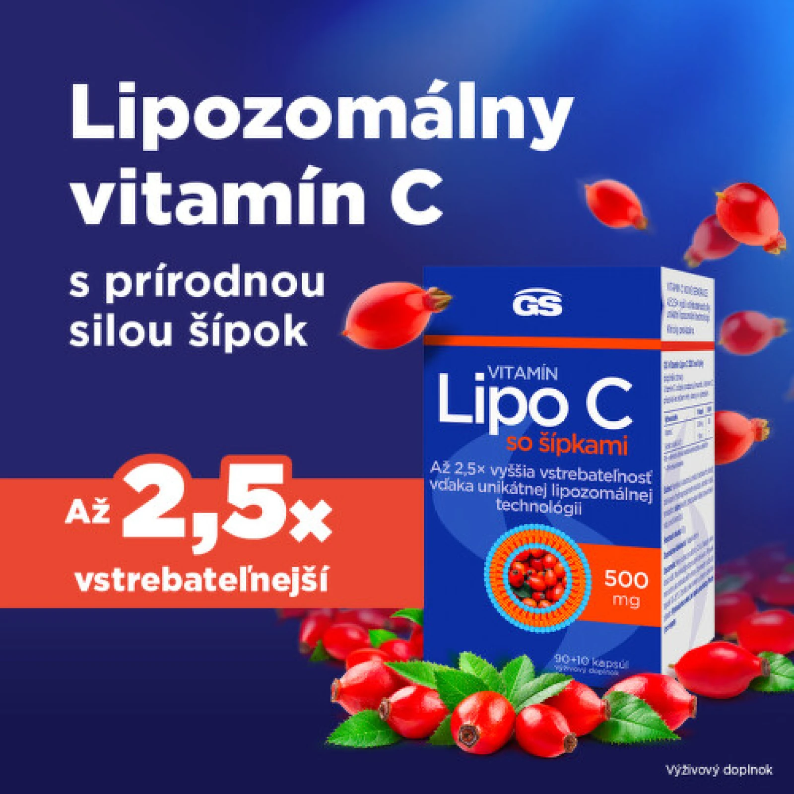 GS Vitamín lipo C 500 mg so šípkami 90 + 10 kapsúl · záber 2