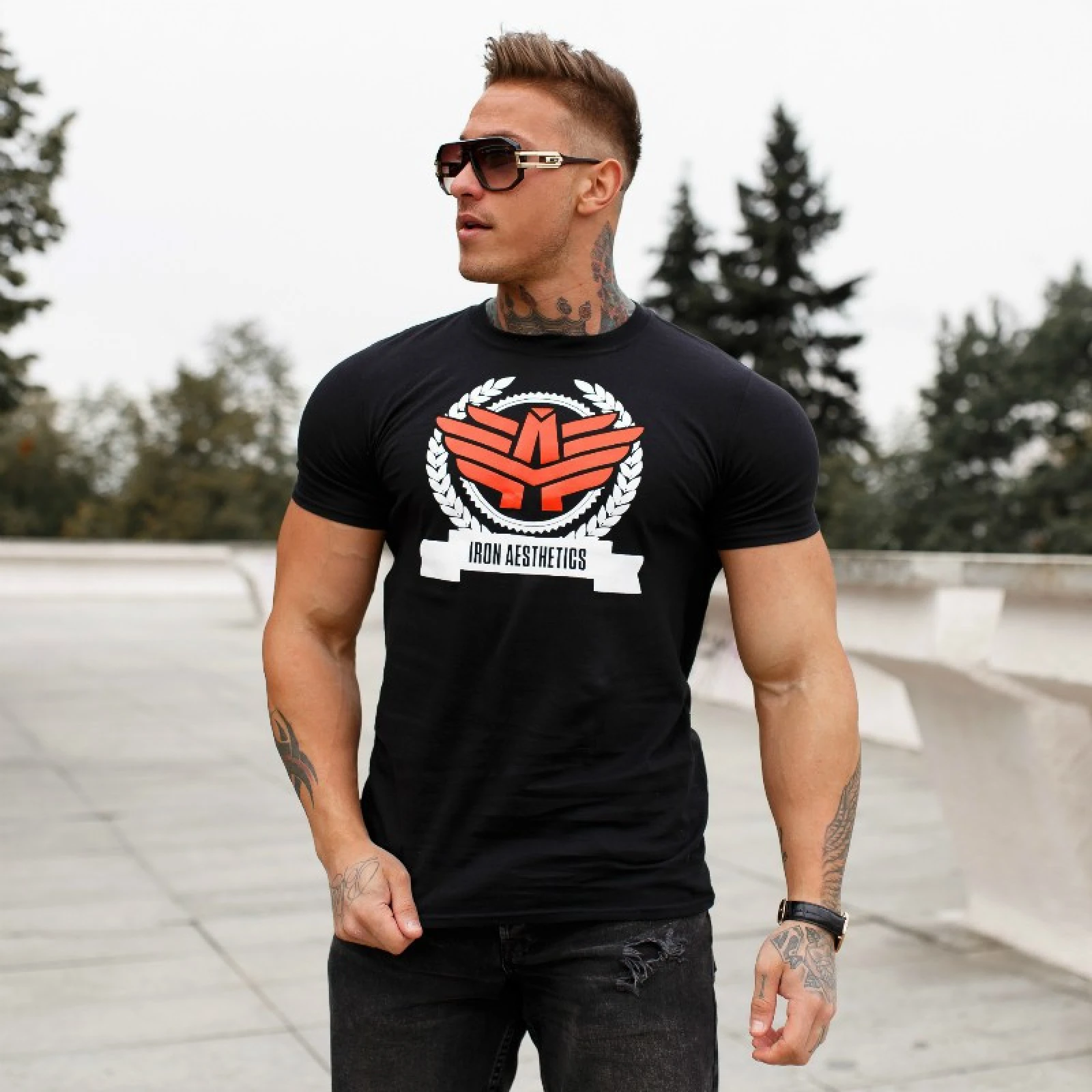 Pánske fitness tričko Iron Aesthetics Triumph, čierne · záber 1