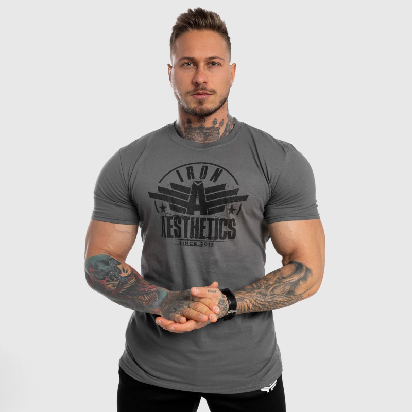 Pánske fitness tričko Iron Aesthetics Force, sivé · záber 1