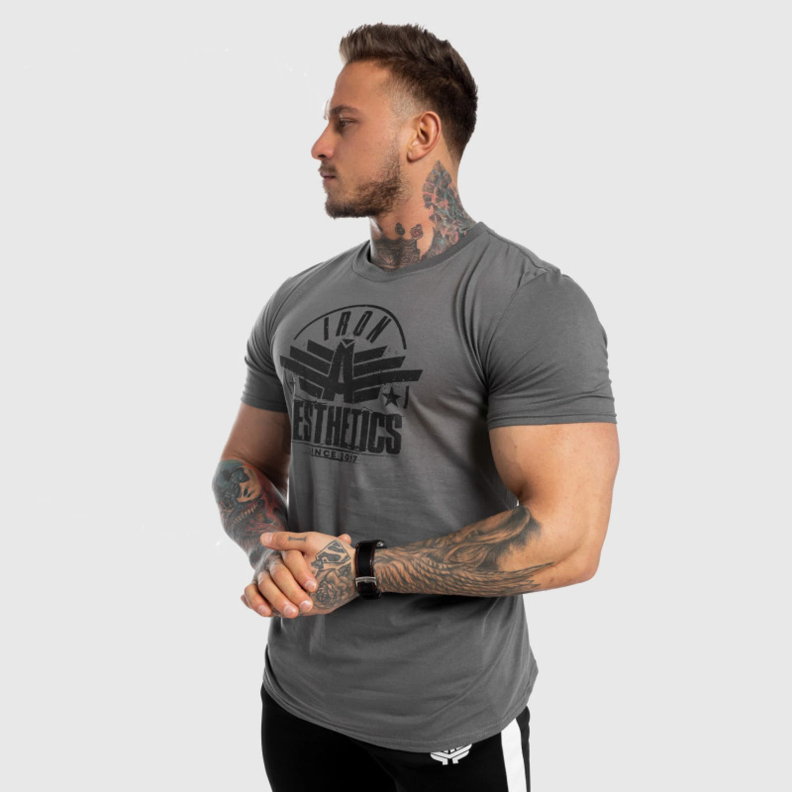 Pánske fitness tričko Iron Aesthetics Force, sivé · záber 4