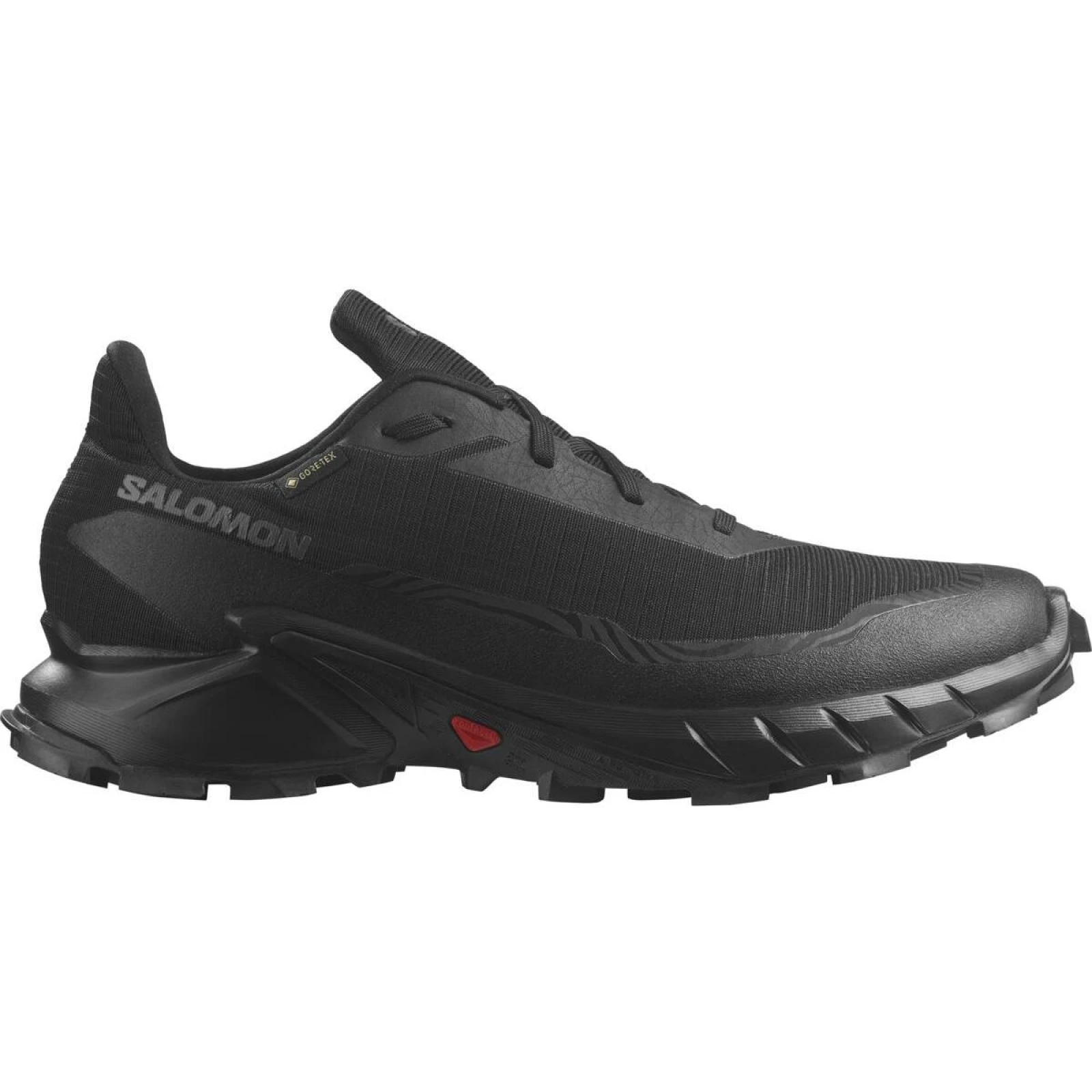 Salomon Alphacross 5 GTX M · záber 1