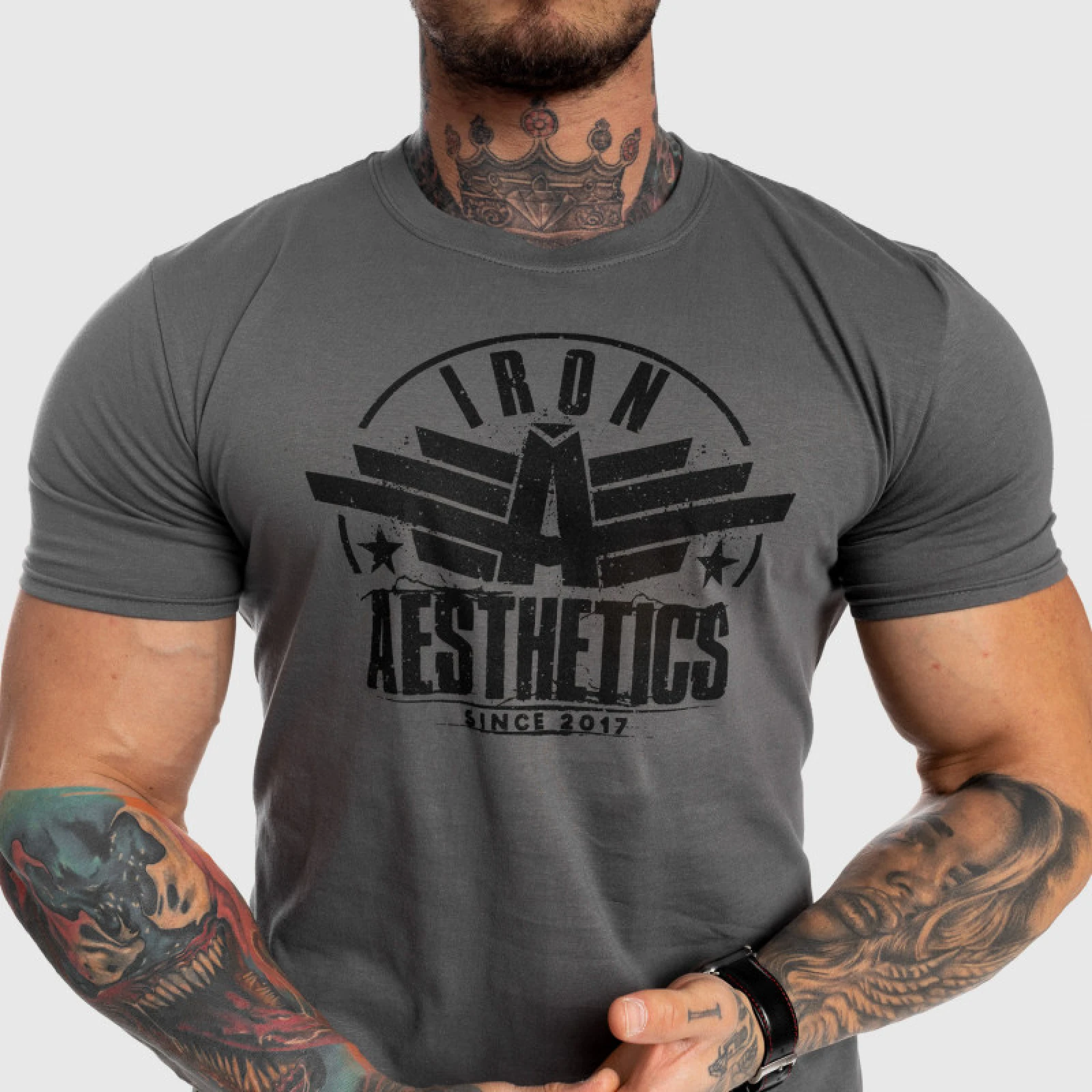 Pánske fitness tričko Iron Aesthetics Force, sivé · záber 3