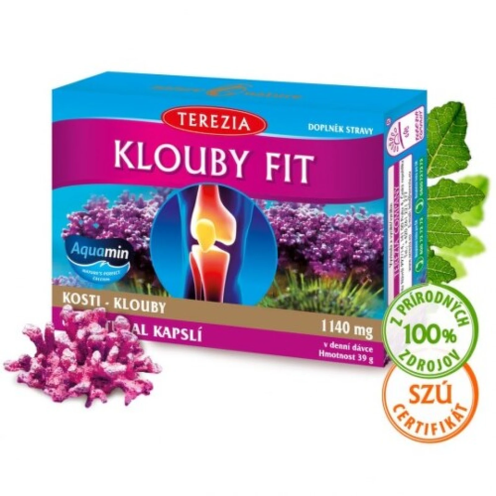 TEREZIA Kĺby fit 60 kapsúl · záber 1