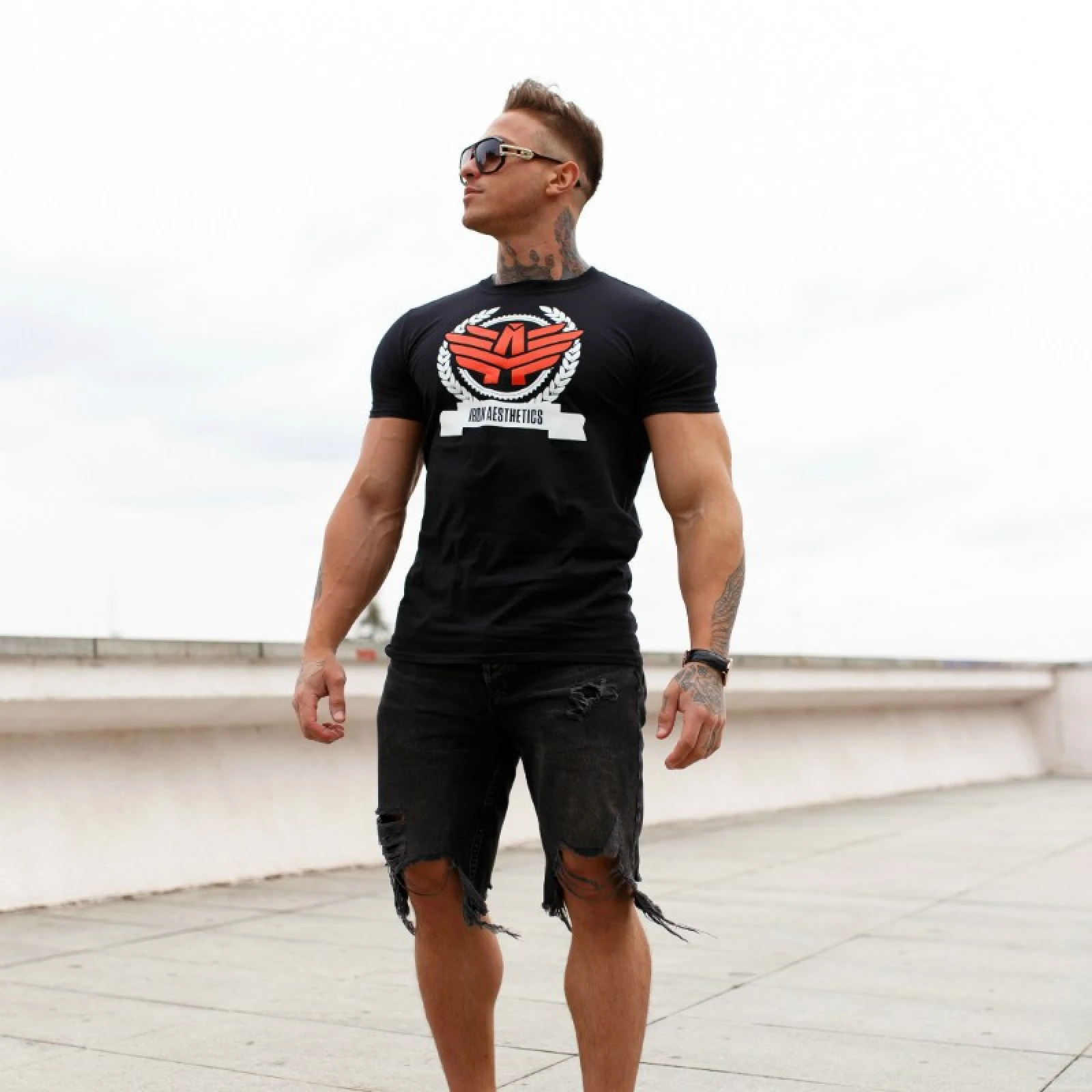 Pánske fitness tričko Iron Aesthetics Triumph, čierne · záber 3