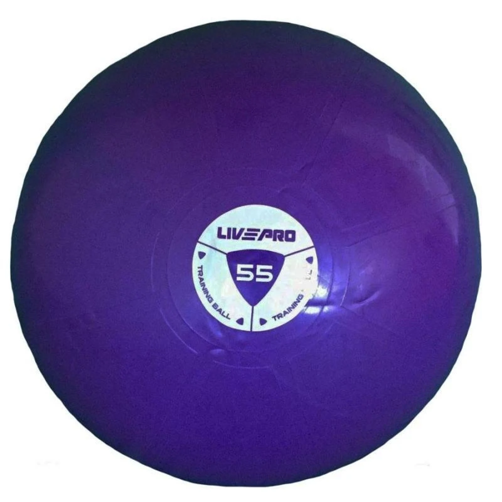 Livepro Míč gymball STUDIO FIT EXERCISE 55 cm POUZE 55 cm (VÝPRODEJ) · záber 1