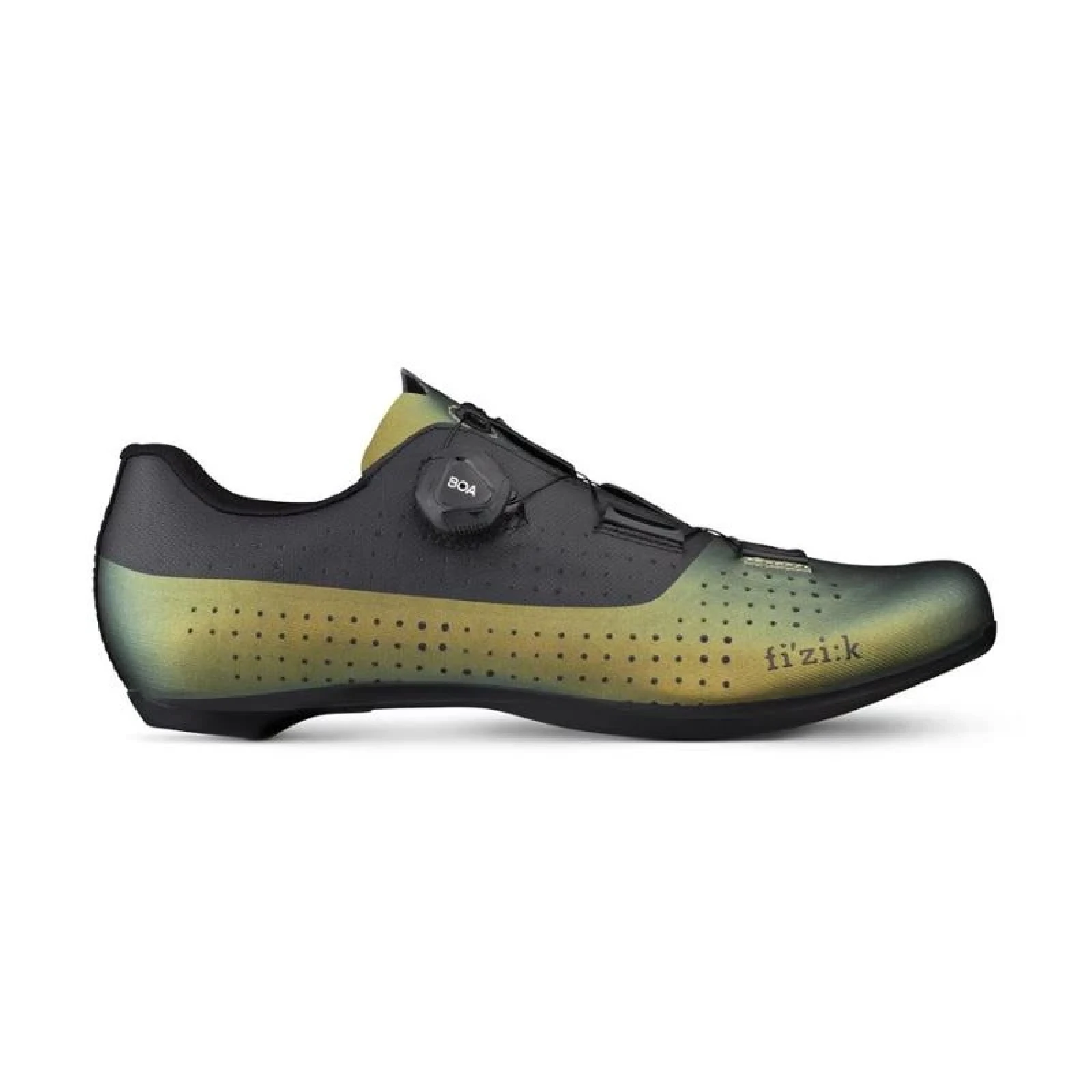 Fizik Overcurve R4 Iridescen - Barva: Hnedá · záber 1
