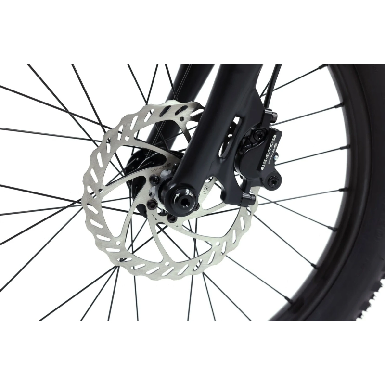 Detský horský bicykel RASCAL Wild 20, ruby red · záber 4