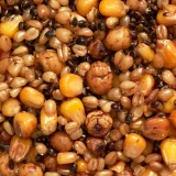 CAPERLAN Partikel 5 kg vrecko bez · záber 2