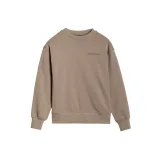 Chlapecká mikina 4F JUNIOR SWEATSHIRT-JWSS25TSWSM1713-83S-BEIGE · záber 5