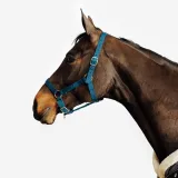 FOUGANZA Ohlávka Schooling pre kone a poníky modrozelená PS · záber 1