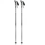 Lyžařské hole BLIZZARD Allmountain ski poles, silver · záber 1