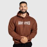 Férfi kapucnis pulóver Iron Aesthetics Frontline, cocoa · záber 1