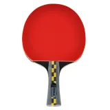 Joola Carbon Pro · záber 1