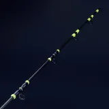 CAPERLAN Prút na ľahký morský trolling Game 500 200 12/20LB bez · záber 2