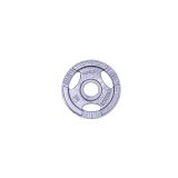 Liatinový kotúč inSPORTline Hamerton 1,25 kg 30 mm · záber 2