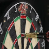 Shot Renegade Dartboard · záber 3