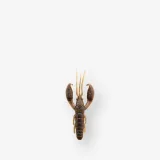 CAPERLAN Mäkká umelá nástraha ráčik s atraktantom Yubari CRAW 2" 5 cm Pumpkin Blue bez · záber 1
