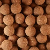 CAPERLAN Boilies na lov kapra Wellmix Plus 25 mm/1 kg Spicy Tuna bez · záber 2