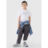 Chlapecké tričko s krátkým rukávem 4F JUNIOR TSHIRT M2331-10S-WHITE · záber 4