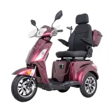 Elektrický trojkolesový vozík inSPORTline Zorica Deluxe s elektromagnetickou brzdou • 25km/h • až 45 km dojazd • bez vodičského preukazu · záber 3