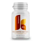 KOMPAVA Boswellia serrata 90 kapsúl · záber 2
