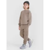Chlapecké tepláky 4F JUNIOR TROUSERS CAS M1103-83S-BEIGE · záber 2