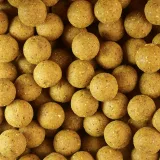 CAPERLAN Boilies na lov kapra Wellmix Instant 20 mm/1 kg Scopex bez · záber 2