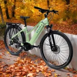 Levit Columba Bosch Perf. 625 28" Matt Mint - 20" (175-185 cm) · záber 4