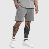 Pánske kraťasy Iron Aesthetics X Washed, sivé · záber 2