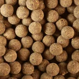 CAPERLAN Boilies na lov kapra Wellmix Plus 20 mm/1 kg Konopné semeno Tigrí orech bez · záber 2
