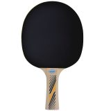 Pálka na stolní tenis DONIC Legends 300 FSC · záber 2