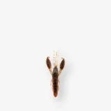 CAPERLAN Mäkká umelá nástraha ráčik s atraktantom Yubari CRW 2" 5 cm Young Craw bez · záber 1