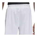 Pánské tréninkové kraťasy NIKE Jordan Sport-FN5816-100-white · záber 2