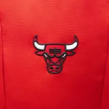 TARMAK Batoh na basketbal 25 l NBA Chicago Bulls bez · záber 2
