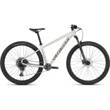 SPECIALIZED Rockhopper Expert Gloss Silver Dust/Satin Burnt Gold Metallic - Veľkosť: L · záber 1