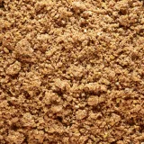 CAPERLAN Rybárska návnada Gooster premium carpe explosive 1 kg 1kg · záber 2