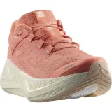 Salomon Aero Glide 3 W - Velikost: 38 2/3 · záber 2