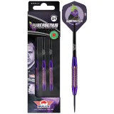 Bull's Aubergenius SC Dirk Van Duijvenbode Steel 21 g · záber 4