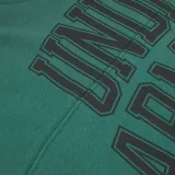 Pánska mikina s kapucňou UNDER ARMOUR UA Rival LW Graphic Hoodie-GRN · záber 5