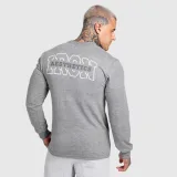 Pánske tričko s dlhým rukávom Iron Aesthetics Campus, sivé · záber 2