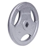 Liatinový kotúč inSPORTline Hamerton 25 kg 30 mm · záber 10