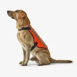 SOLOGNAC Vesta na poľovníckeho psa 100 oranžová S · záber 1