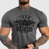 Pánske fitness tričko Iron Aesthetics Force, sivé · záber 3