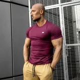 Pánske fitness tričko Iron Aesthetics Standard, bordové · záber 2