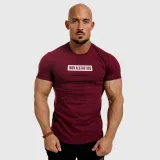 Pánske fitness tričko Iron Aesthetics Boxed, bordové · záber 1