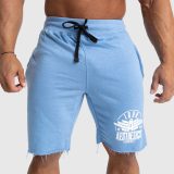 Pánske teplákové kraťasy Iron Aesthetics Force, svetlo modrá · záber 1