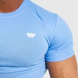 Pánske fitness tričko Iron Aesthetics Standard, modré · záber 2