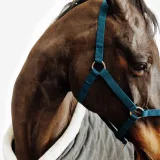 FOUGANZA Ohlávka Schooling pre kone a poníky modrozelená PS · záber 2
