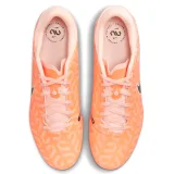 Nike Tiempo Legend 10 Academy FG/MG - 42,5 · záber 10