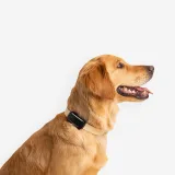 TRACTIVE TRACTIVE DOG6 obojok s GPS pre psa bez · záber 2